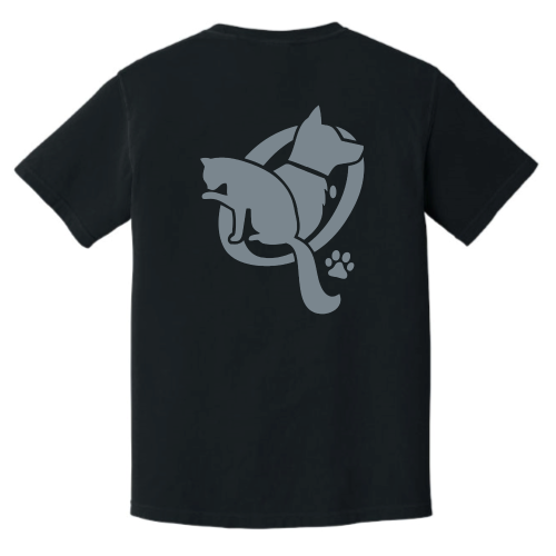 QueenstownVet - Comfort Colors - 1717