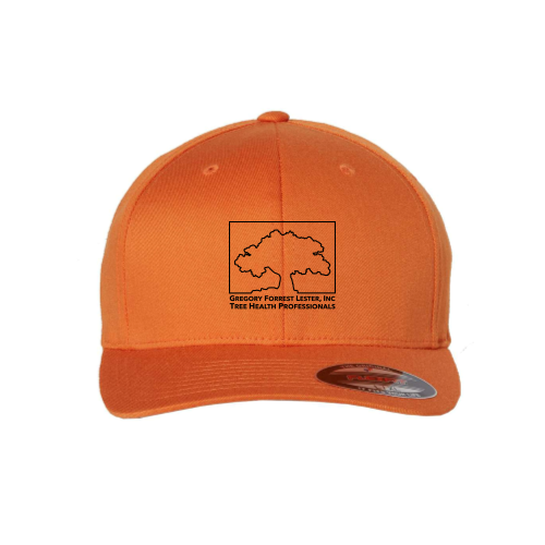 GFLester Yupoong Flexfit - 6277