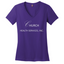 CHSI - District Made Ladies Perfect Weight V-Neck Tee