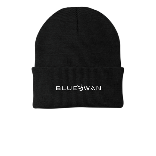 BlueSwan - Port Company
