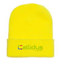 Callidus Electric Green Cuffed Beanie