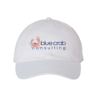 BlueCrabConsulting - Adult Bio-Washed Unstructured Cap v1