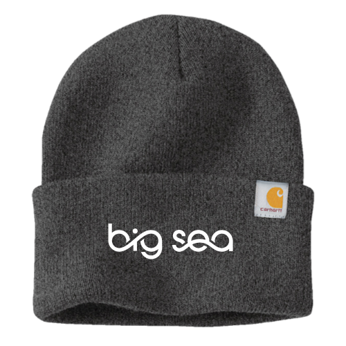 Big Sea - Carhartt Watch Cap 2.0