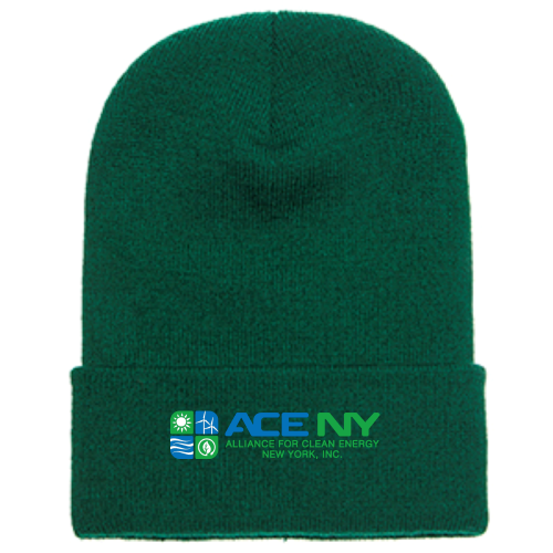 ACENY - Cuffed Knit Beanie