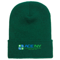 ACENY - Cuffed Knit Beanie