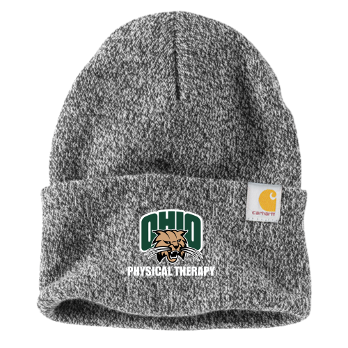 OUPT2 - Carhartt Watch Cap 2.0