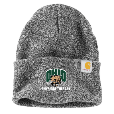 OUPT2 - Carhartt Watch Cap 2.0