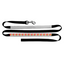 TRT - Dog Leash