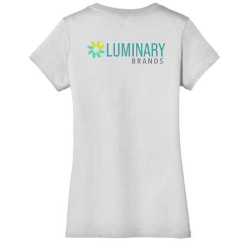 LuminaryBrands - District Made Ladies Perfect Weight V-Neck Tee