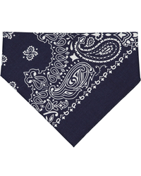 Navy Paisley