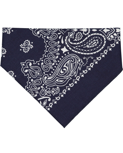 Navy Paisley