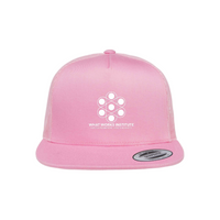 What Works Institute - YP Classics 5-Panel Trucker v2