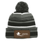 Aliso Ridge Behavior Leather Patch Pom Beanie