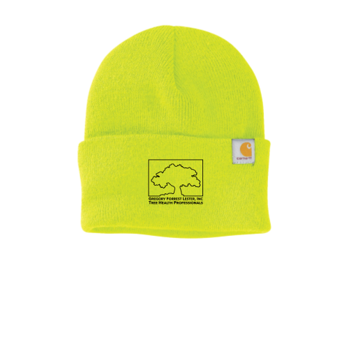 GFLester Carhartt Watch Cap 2.0 CT104597