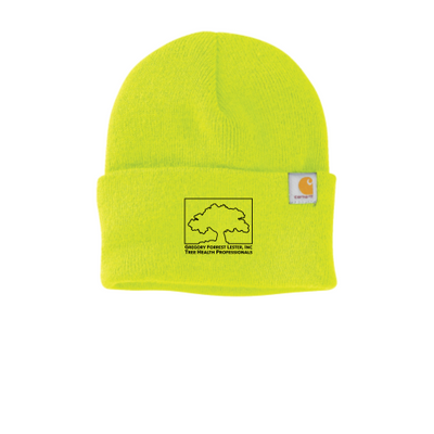 GFLester Carhartt Watch Cap 2.0 CT104597