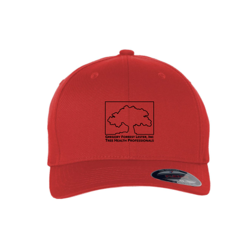 GFLester Yupoong Flexfit - 6277