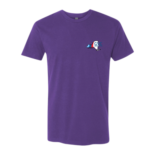 GVCBMWCCA - Next Level Apparel Unisex Cotton T-Shirt v2