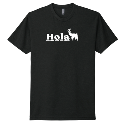 HolaMarketingFirm - Unisex Next Level 6210 - CVC T-Shirt