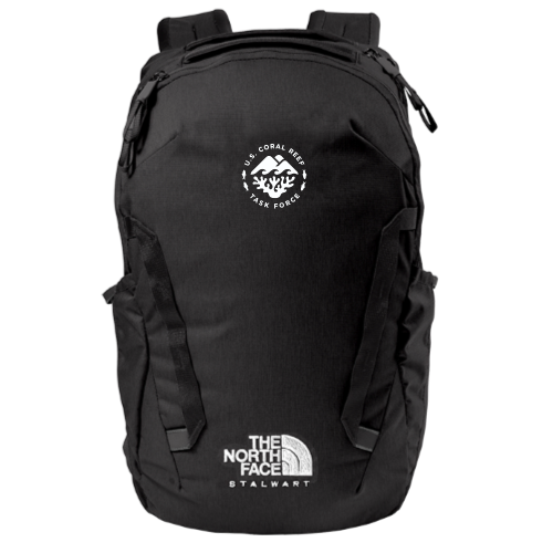 TNF Black