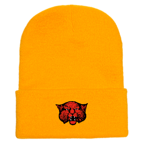 WinkLovingISD - Cuffed Knit Beanie
