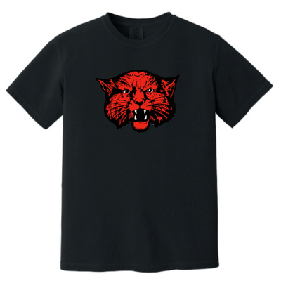 WinkLovingISD - Unisex Comfort Colors Vintage Tee