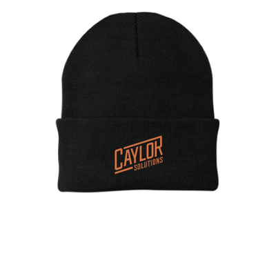 CaylorSolutions - Port Company - CP90 v2