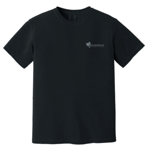 QueenstownVet - Comfort Colors - 1717