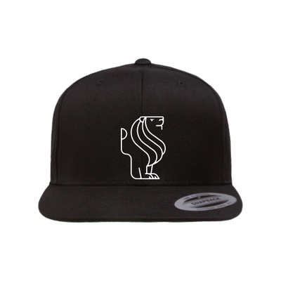 MGA Snapback Hat