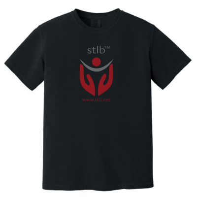 STLB Comfort Colors Vintage Tee
