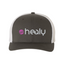 HealyWorld - Adult 6-Panel Trucker Cap