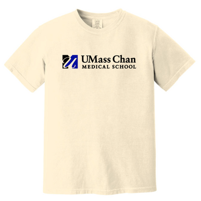 UMASS - Unisex Comfort Colors Vintage Tee