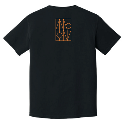 APOLLOLighting - Unisex Comfort Colors Vintage Tee