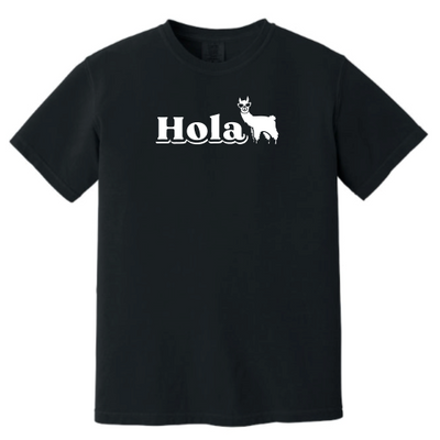 HolaMarketingFirm - Unisex Comfort Colors Vintage Tee