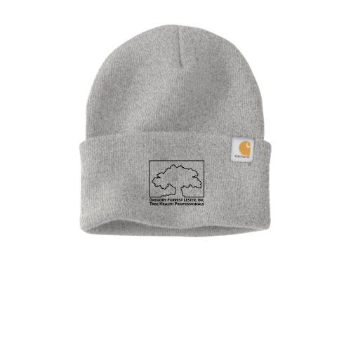 GFLester Carhartt Watch Cap 2.0 CT104597