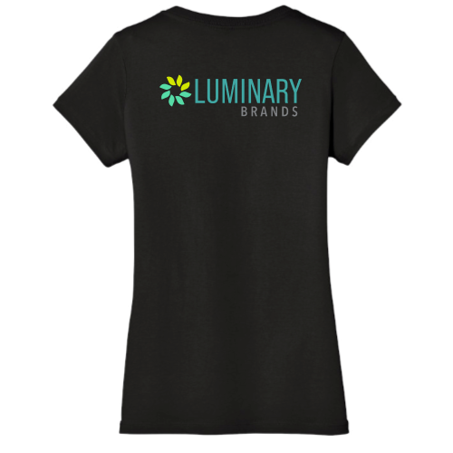 LuminaryBrands - District Made Ladies Perfect Weight V-Neck Tee