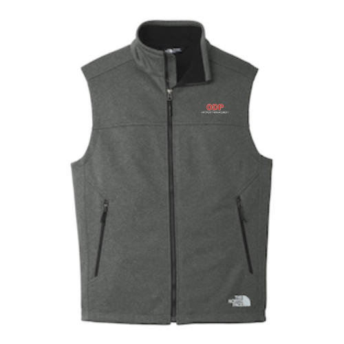TNF Dark Grey Heather