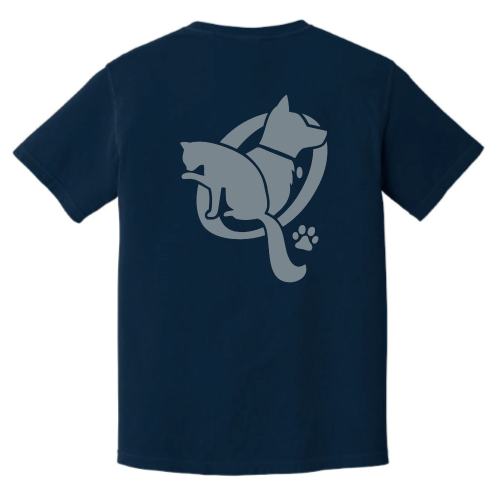 QueenstownVet - Comfort Colors - 1717