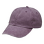 Wild Plum