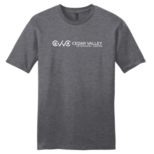 CedarValley - District Young Men's Very Important Tee