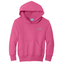 Cloud Nine Peoria - Port & Company Youth Pullover Hooded Sweatshirt
