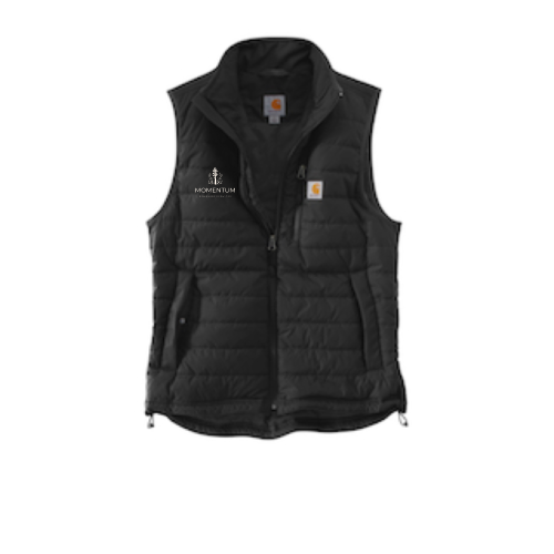 MBS - Carhartt Gilliam Vest CT102286