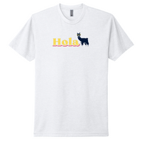 HolaMarketingFirm - Unisex Next Level 6210 - CVC T-Shirt