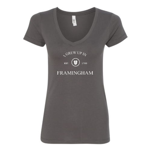 Framingham - Next Level - Womens V-Neck 1540