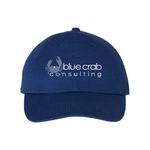 BlueCrabConsulting - Adult Bio-Washed Unstructured Cap v2