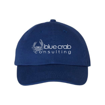 BlueCrabConsulting - Adult Bio-Washed Unstructured Cap v2
