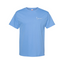Carolina Blue