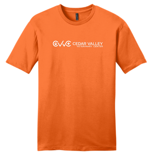 CedarValley - District Young Men's Very Important Tee