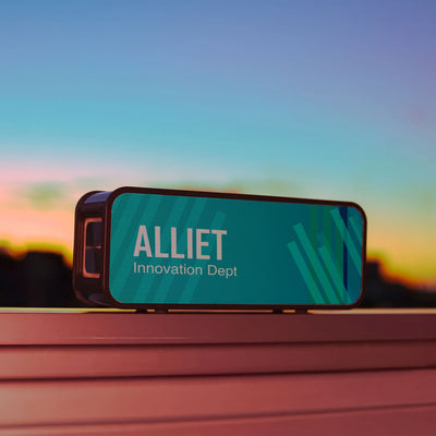 Jouncito 30W Wireless Speaker