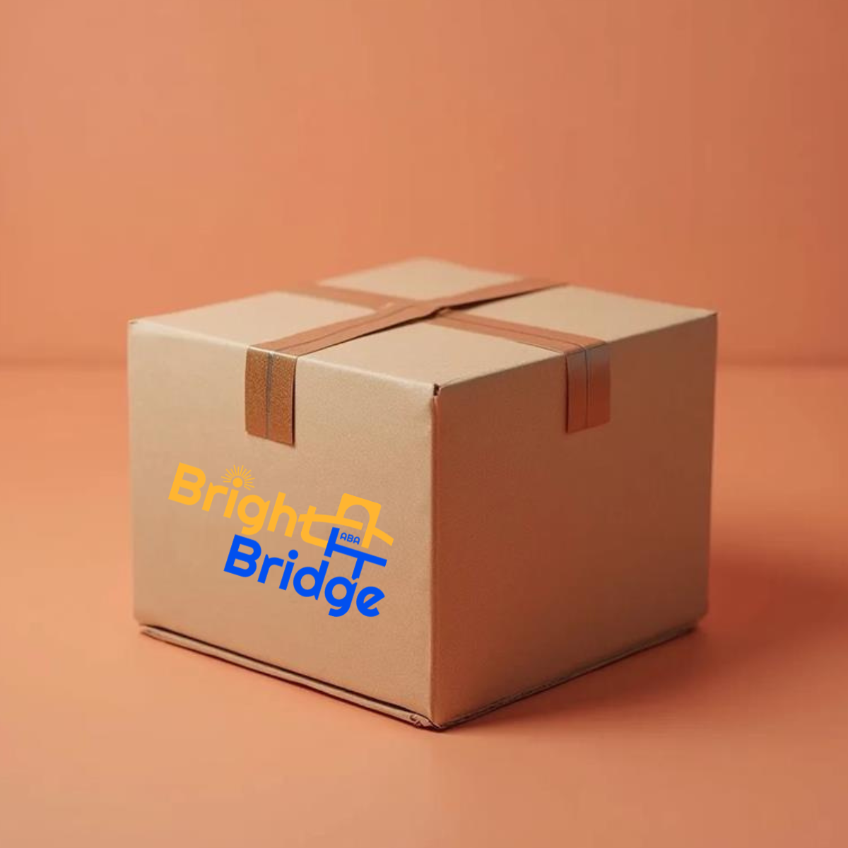 BrightBridge ABA Swag Box