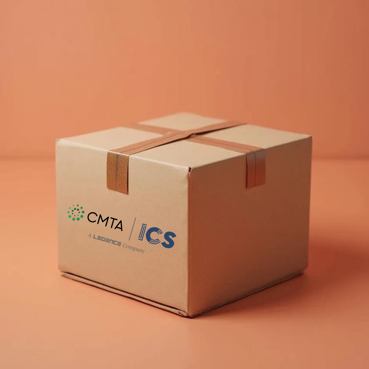 CMTA Swag Box